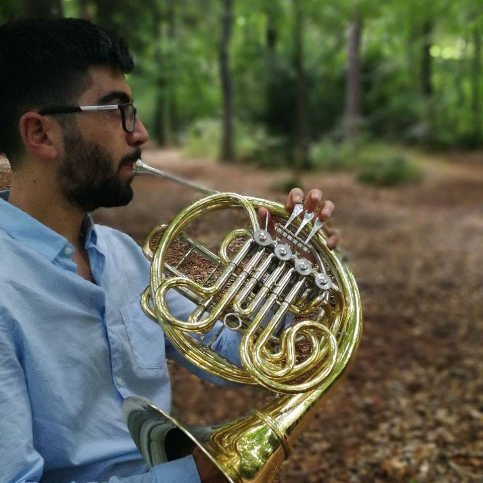 French horn lessons in Belgium for home